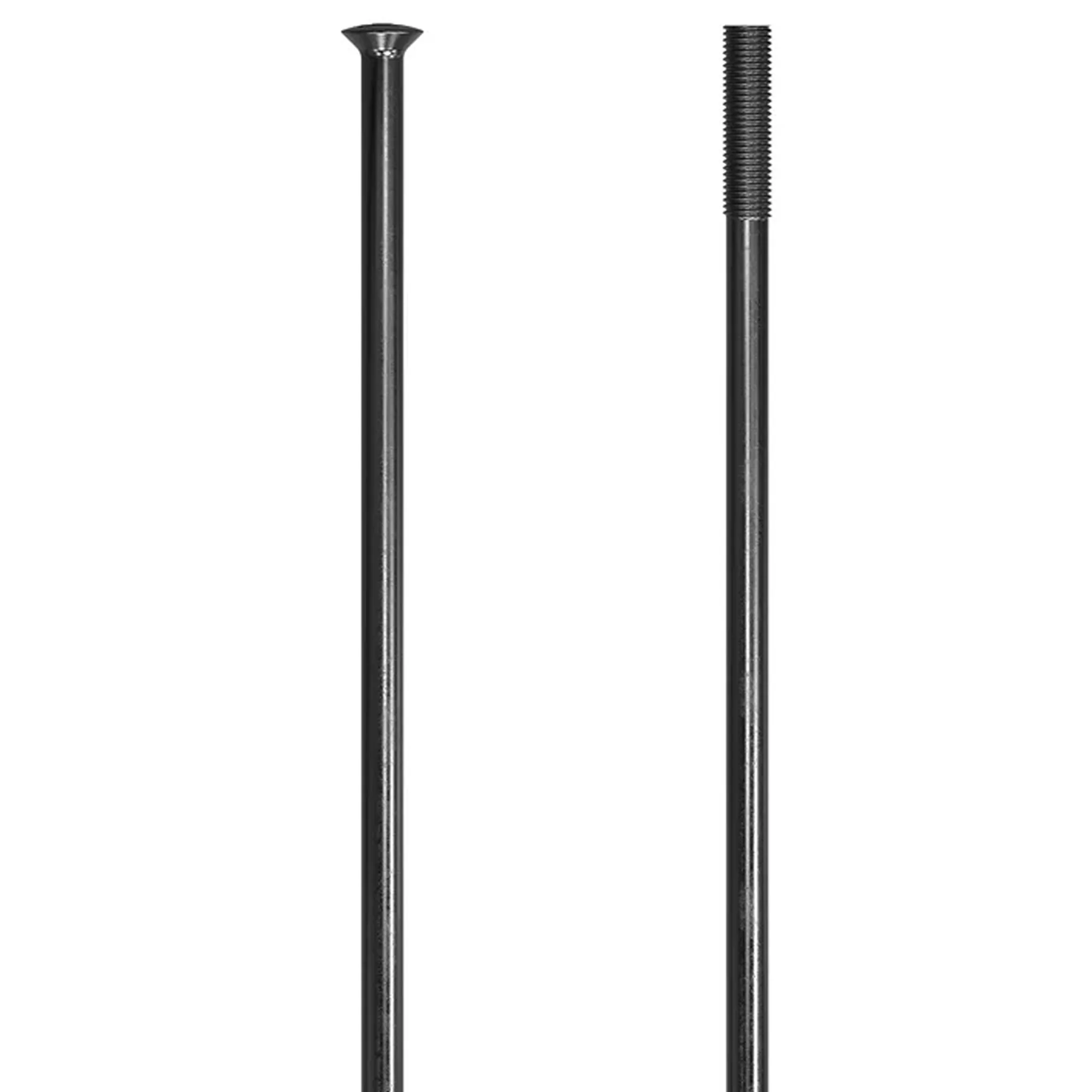 DT Swiss Champion 14g Spoke SP Black 284mm 20/Count
